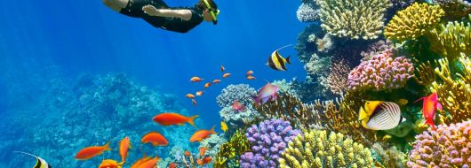 ЕКСКЛУЗИВНИ ОТСТЪПКИ - Почивка в Шарм ел Шейх, Египет със самолет от София - 7 нощувки